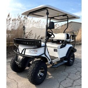 Brand New Gas Golf Cart UTV Hybrid Linhai Big Hammer 200 GVX Side by Side UTV With Custom Rims/Tires – Black